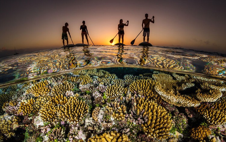 Ocean Photography Awards 2020