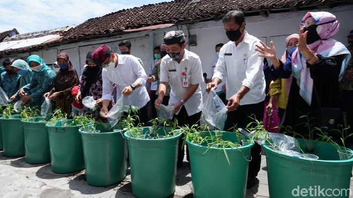Pemkab Banyuwangi mengajak warga melakukan budi daya ikan. Ini dilakukan untuk meningkatkan konsumsi ikan.