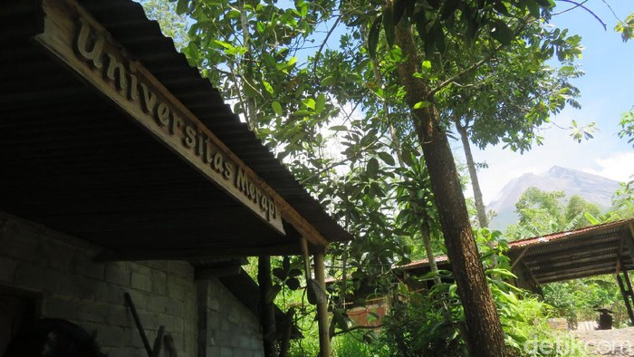 Potret Universitas Merapi, Berjarak 4 Km dari Puncak Gunung Bangunan Universitas Merapi hanya berjarak 4 Km dari puncak Gunung Merapi. Bangunan ini bukanlah civitas akademik, hanya rumah yang dimanfaatkan sebagai posko relawan.