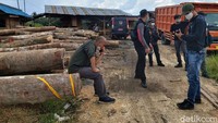 Para petugas terus berkoordinasi dan mencari lokasi-lokasi tempat penimbunan kayu ilegal di wilayah sekitar.