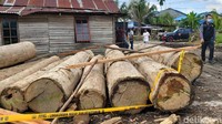 Sesampainya di lokasi para petugas langsung melakukan pengecekan dan melakukan penyegelan kayu hasil kejahatan ilegal logging.