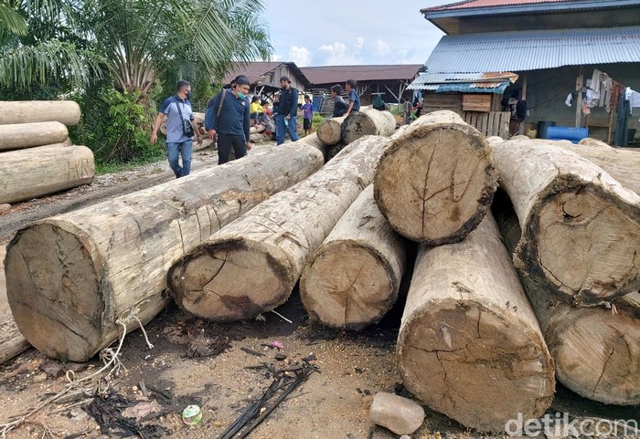 Tim Gabungan Polda Riau bersama Kementerian Lingkungan Hidup dan Kehutanan wilayah Sumatera mengamankan ratusan kayu hasil ilegal logging di Kampar Riau.
