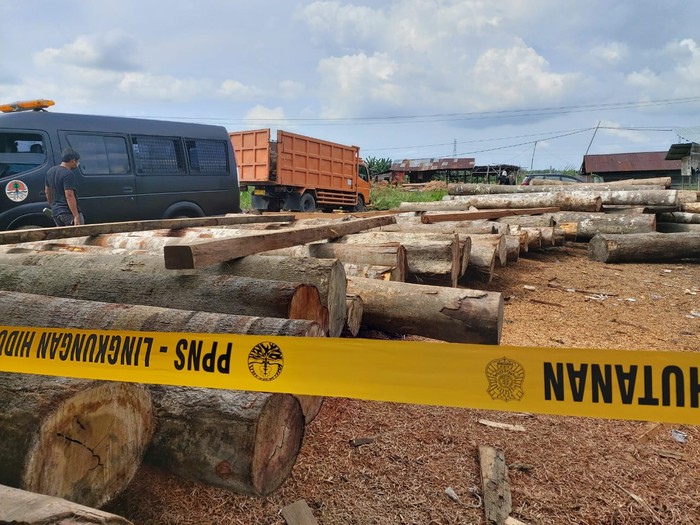 Razia sawmill ilegal di Riau (Chaidir-detikcom)