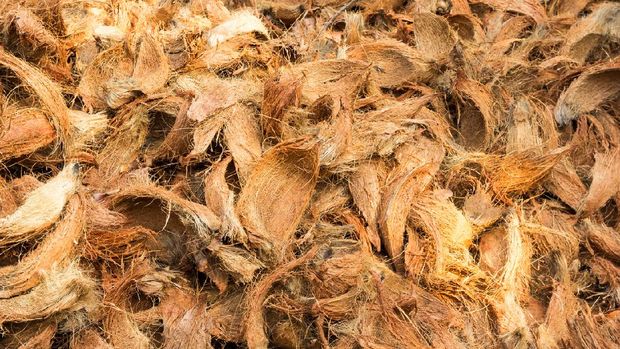 background of coconut spathe fiber, texture from nature
