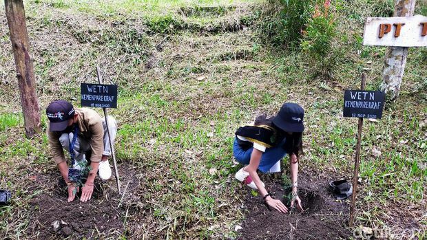 Tanaman andalimn di Wisata Taman Eden 100