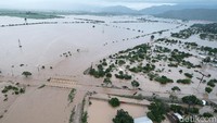 Banjir di Honduras memaksa lebih dari 71.000 orang berada di pengungsian. Puluhan sungai meluap dan membanjiri jalan-jalan serta jalan raya. Yoseph Amaya/Getty Images.