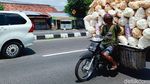 Bahaya, Motor Ini Angkut 43 Bal Kerupuk di Jalan Yogya-Solo