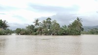 Sejumlah rumah warga yang terdampak semakin terisolir saat banjir menerjang.