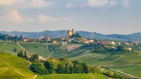 Italia menawarkan beberapa kawasan penghasil wine di seluruh wilayahnya, dari utara ke selatan. 