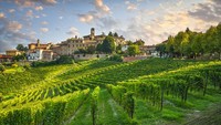 Asosiasi tersebut memutuskan untuk menetapkan nama Kota Wine untuk pertama kalinya di tahun ini. Sehingga, nama itu akan berlaku pada tahun 2021 dan Desa Barolo dinyatakan sebagai pemenangnya.