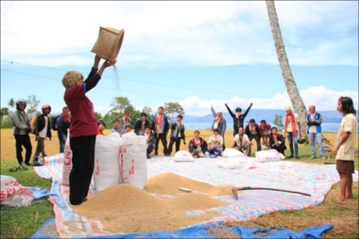 FOOD ESTATE DI TENGAH ISU PANGAN NASIONAL