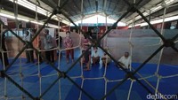 Salah satunya senam tersebut dilangsungkan di lokasi pengungsian lapangan futsal yang berada di Desa Tamanagung, Kecamatan Muntilan. Mereka diminta kumpul dan berada di teras lapangan futsal itu.
