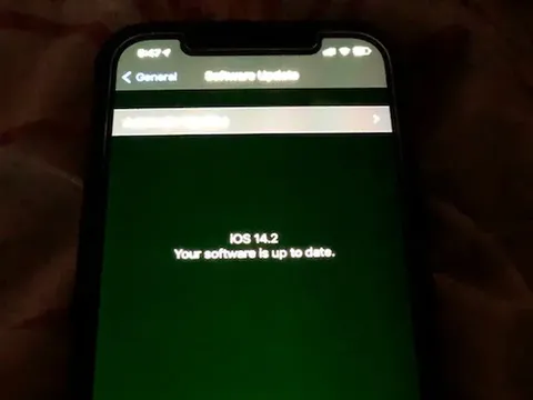 Layar iPhone 12 berubah kehijauan