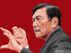 Luhut Pasang Badan Lawan Kampanye Negatif Sawit