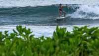 Seorang wisatawan melakukan surfing di Pulau Simeulue. Ombaknya yang menantang jadi magnet bagi para penikmatnya, Senin (23/09/2019). Rifkianto Nugroho/detikcom.