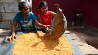Saat kunjungi Pulau Rote di NTT, pohon lontar banyak ditemukan di sana. Tanaman yang disebut pohon kehidupan itu jadi bahan dasar membuat gula semut, Minggu (15/09/2019). Ari Saputra/detikcom.