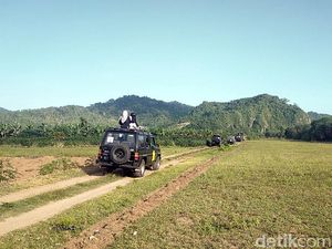 TN Meru Betiri, Tempat Terakhir Harimau Jawa Terlihat