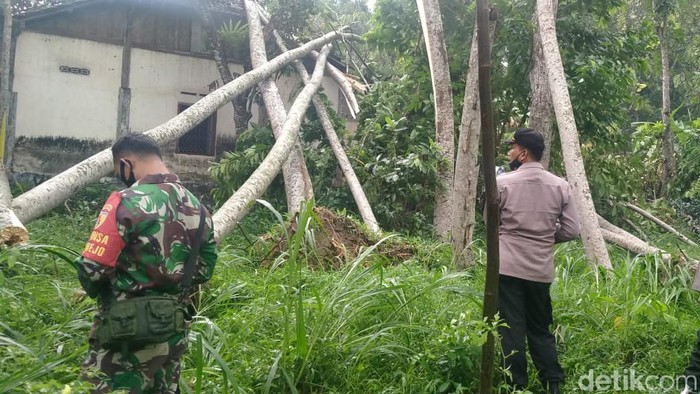 Hujan deras disertai angin puting beliung menerjang sebuah desa di Kabupaten Blitar. Dalam sekejap, ratusan pohon tumbang dan menimpa lima rumah warga.