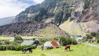 Puluhan juta burung laut juga makan di sini. Status suaka alam ini akan sangat membantu dalam melindungi satwa liar lokal. Traveler yang berkunjung akan membantu Inggris mencapai target untuk melindungi 30% lautan dunia pada tahun 2030 melalui Program Sabuk Biru. (Foto: iStock)