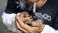 Kelompok Mexican Cannabis Movement telah melakukan aksi berkembah di luar gedung Senat Meksiko sejak Februari, mereka menanam tanaman ganja dan menghisapnya sebagai cara untuk menekan pemerintah melegalkan ganja.