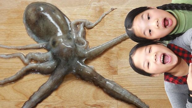 Gurita Hidup hingga Samyang, 5 Video Mukbang Ini Ditonton Ratusan Juta Kali