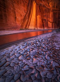 International Landscape Photographer 2020