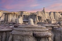 International Landscape Photographer 2020