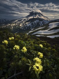 International Landscape Photographer 2020