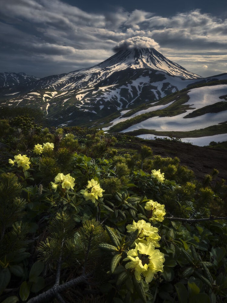 International Landscape Photographer 2020