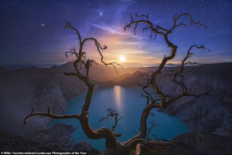 International Landscape Photographer 2020