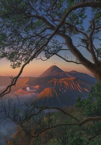 International Landscape Photographer 2020