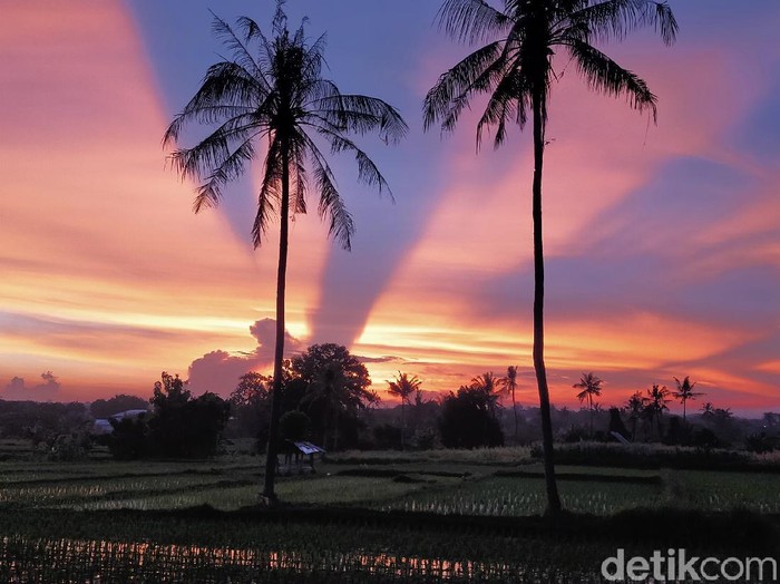Potret mengesankan tampak di langit Banyuwangi dalam dua hari terakhir. Langit Banyuwangi seperti terbelah saat matahari terbenam atau sunset.