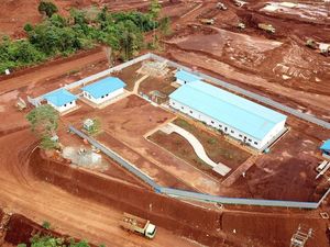 Smelter China di RI Dicap Zalim, Apa Tindakan Pemerintah?