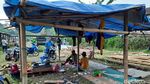 Penampakan Lokasi Pengungsian Hewan Ternak di Lereng Merapi