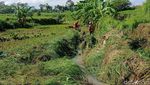Pencarian 2 Pemotor yang Terseret Arus Banjir di Kendal