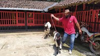 Untuk menuju lokasi desa ini sangat mudah sekali. Disarankan menggunakan mobil pribadi maupun sepeda motor. Bahkan terkadang ada juga pegowes sepeda yang datang ke desa ini. Di Google Maps lengkap infonya.