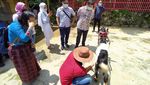 Foto: Wisata Edukasi Kambing Etawa Ada Juga di Magelang