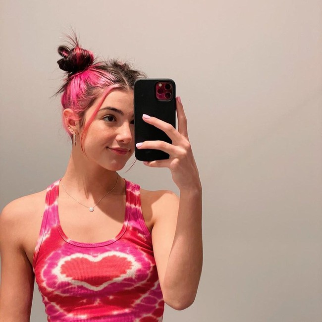 Dia kehilangan satu juta followers bermula dari unggahan video di channel YouTube The DAmelio Family pada 16 November 2020. Video berdurasi 16 menit 13 detik tersebut menampilkan ayah, ibu, serta kakaknya Dixie DAmelio yang juga bintang TikTok terkenal. Foto: dok. Instagram