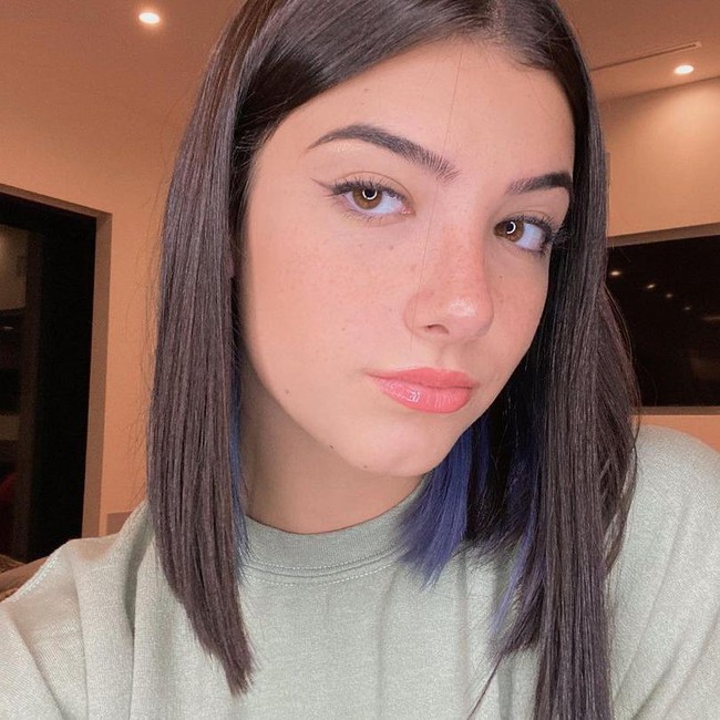 Perilaku Charli dan Dixie langsung mendapatkan komentar pedas dari netizen. Mereka mengkritik dan kecewa dengan sikap duo kakak-beradik bintang TikTok tersebut. Bahkan ada yang mem-bully dan melontarkan ancaman kematian. Foto: dok. Instagram