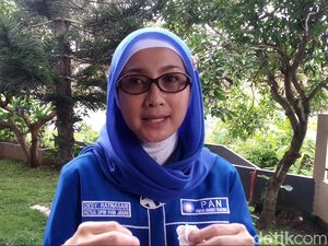 Desy Ratnasari Tidak Mengaku Anggota DPR saat Diperiksa di Pos Penyekatan