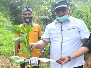 Cabup Marwan Akan Beri Beasiswa Santri Penghafal Al-Quran Diapresiasi