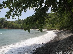 Pantai Teluk Ijo, Gradasi Hijau dan Biru Laut di Banyuwangi