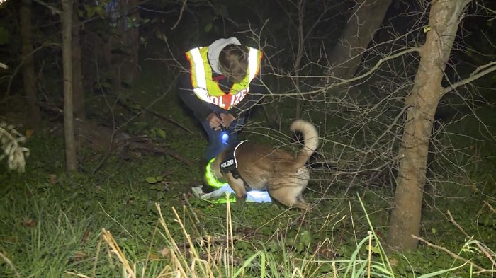 In this Nov. 9, 2020 photo, a policeman with a tracker dog is searching for a missing man in Berlin, Germany. German prosecutors said Friday Nov. 20, 2020, there is evidence of cannibalism in the killing of a 44-year-old man whose remains were found on the northern edge of Berlin earlier this month. A 41-year-old man was arrested on suspicion of murder with sexual motives at his home close to the site where the victims bones were found. (Telenewsnetwork/dpa via AP)