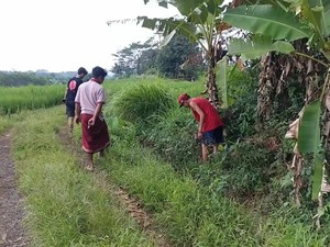 Ini Dia Parit Lokasi Ditemukannya Duit Puluhan Juta Berceceran di Batang