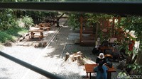 Lokasinya berada tepat di dalam Tahura, Jalan Pakar Bar No 5, Ciburial, Cimenya, Kota Bandung. Tempat ini juga bisa dijadikan kelas terbuka sementara bagi siswa yang bosan sekolah daring. (Siti Fatimah/detikcom)