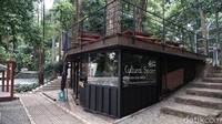 Adanya ruang kreatif budaya di tengah hutan ini tentu menjadi daya tarik tersendiri bagi generasi muda yang ingin terus belajar mengenal akan budayanya. (Siti Fatimah/detikcom)
