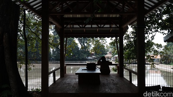 Adanya ruang kreatif budaya di tengah hutan ini tentu menjadi daya tarik tersendiri bagi generasi muda yang ingin terus belajar mengenal akan budayanya. (Siti Fatimah/detikcom) Adanya ruang kreatif budaya di tengah hutan ini tentu menjadi daya tarik tersendiri bagi generasi muda yang ingin terus belajar mengenal akan budayanya. (Siti Fatimah/detikcom)