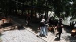 Potret Tempat Kece di Taman Hutan Raya Bandung