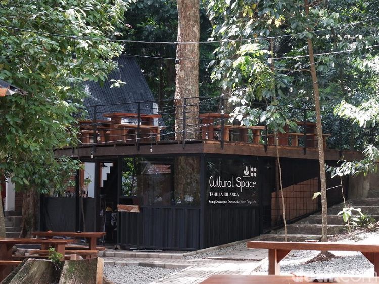 Potret Tempat Kece di Taman Hutan Raya Bandung