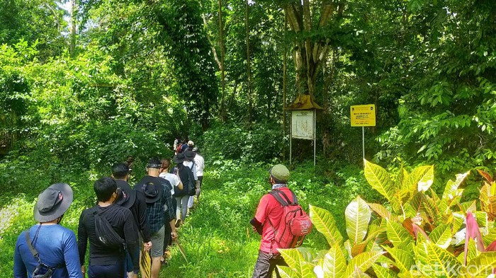 Taman Nasional Meru Betiri di Banyuwangi